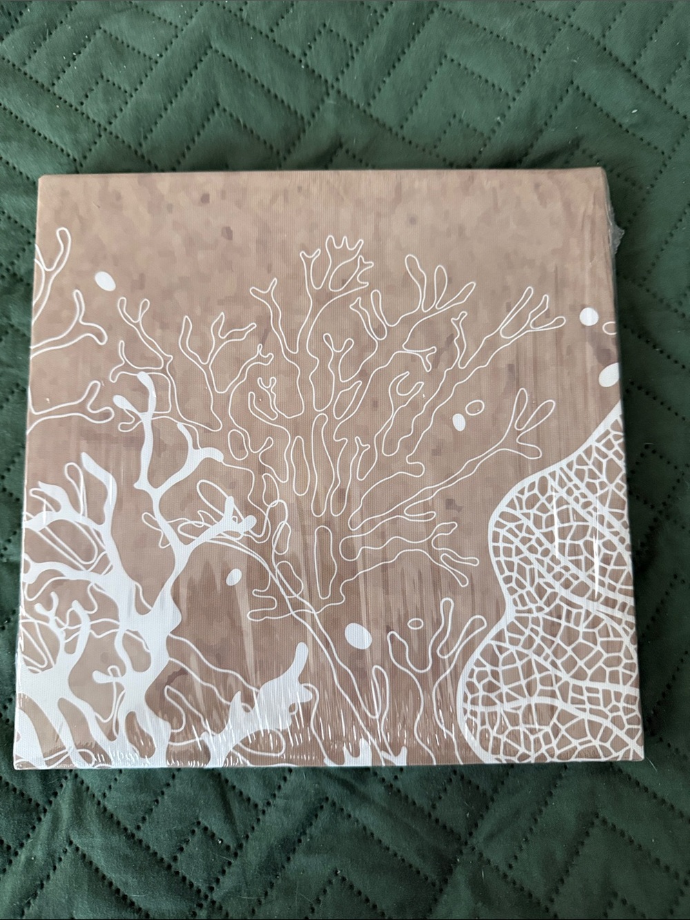 Beige and White Coral Reef Canvas Wall Art